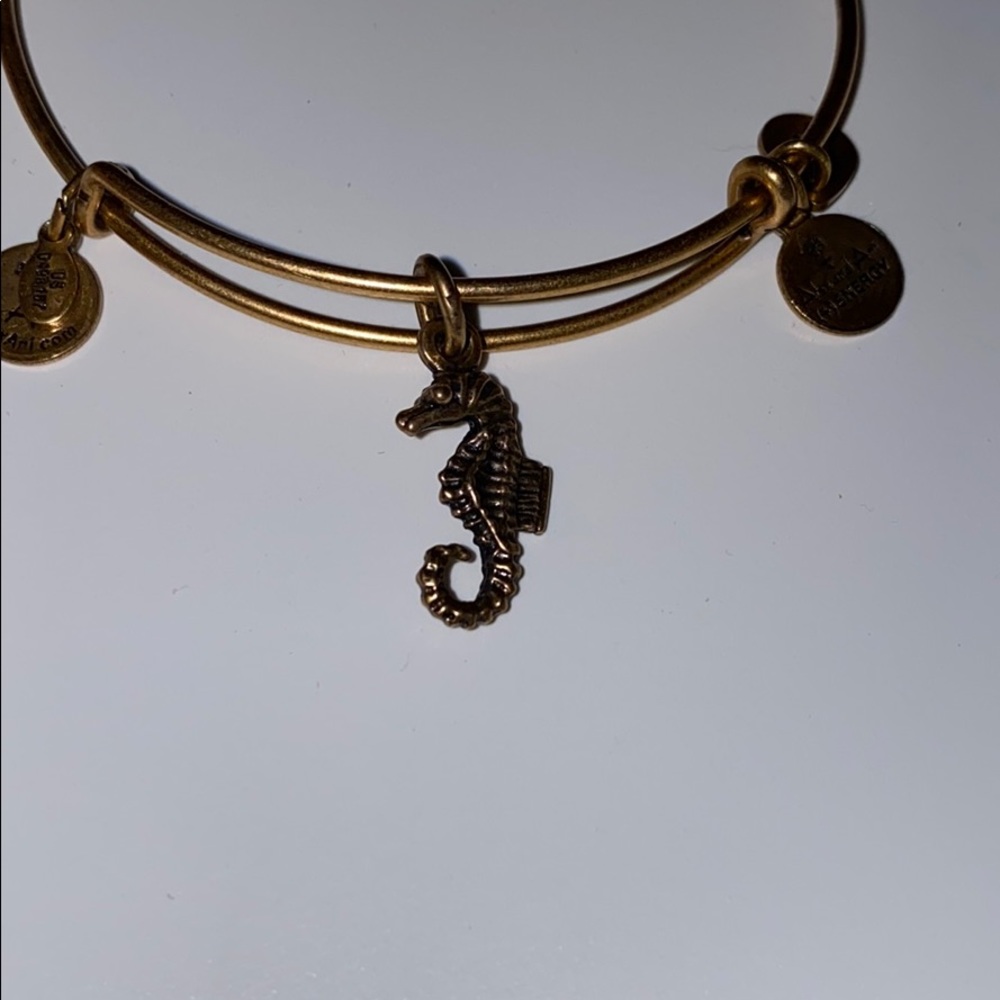 Alex and ani bangle